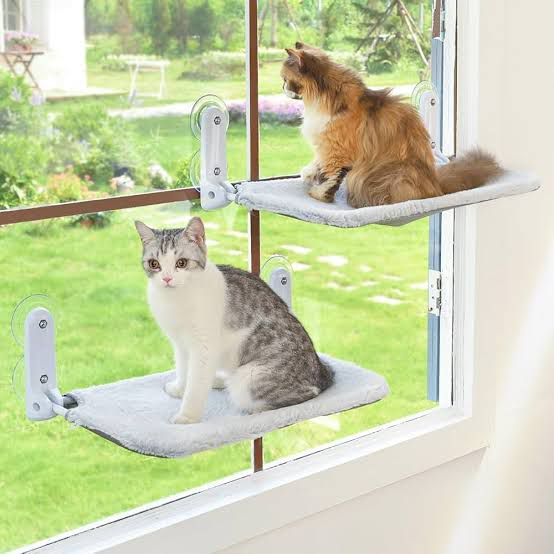 CAMA VENTOSA PARA GATOS